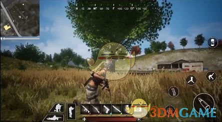 早上运动vs晚上运动哪个更健康